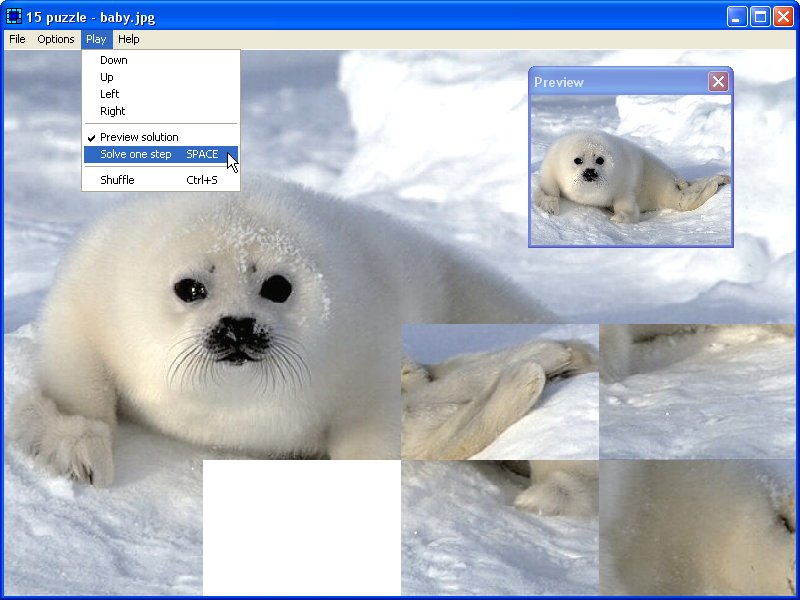 This program can transform your favorite pictures into sliding puzzles.