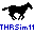 THRSim11 icon